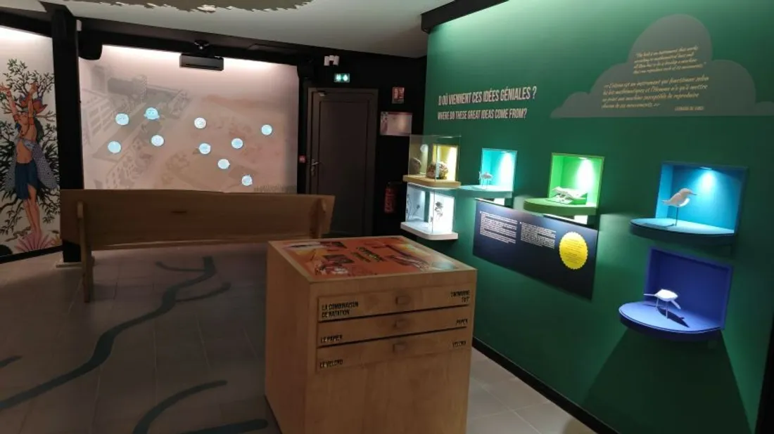 Le public visite l'exposition gratuitement. 