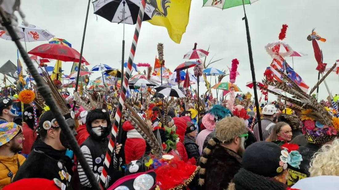 Des milliers de carnavaleux sont réunis. 
