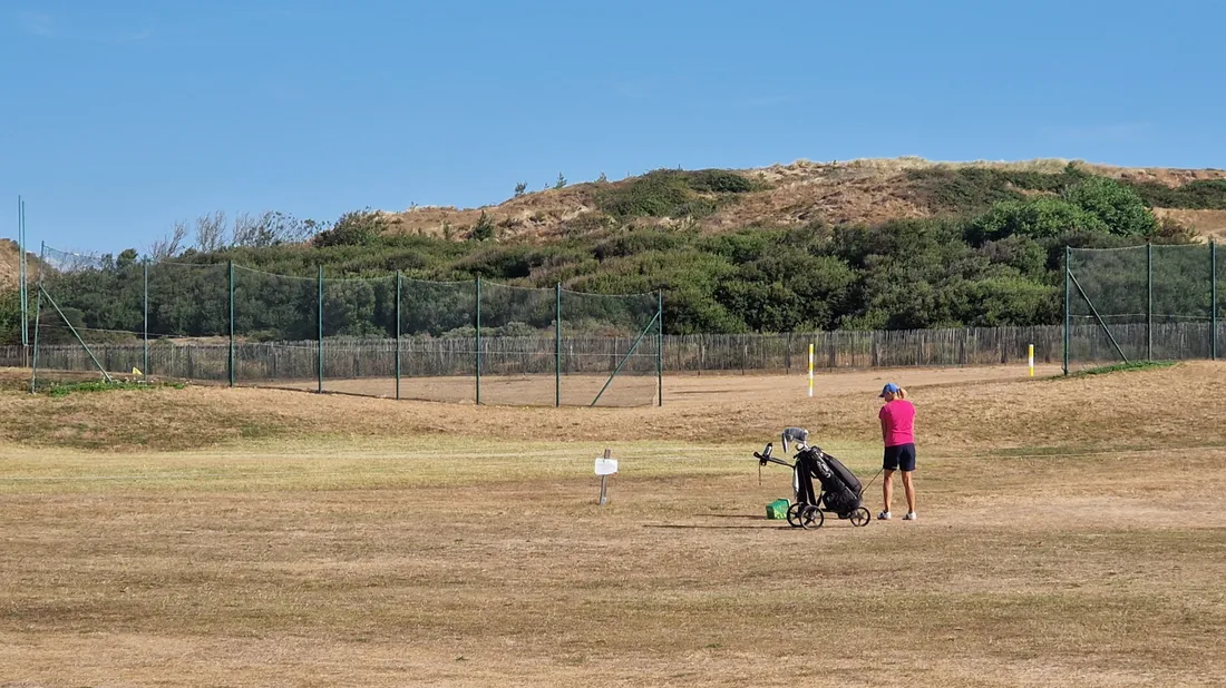 Les pelouses sont très sèches au golf de Wimereux.