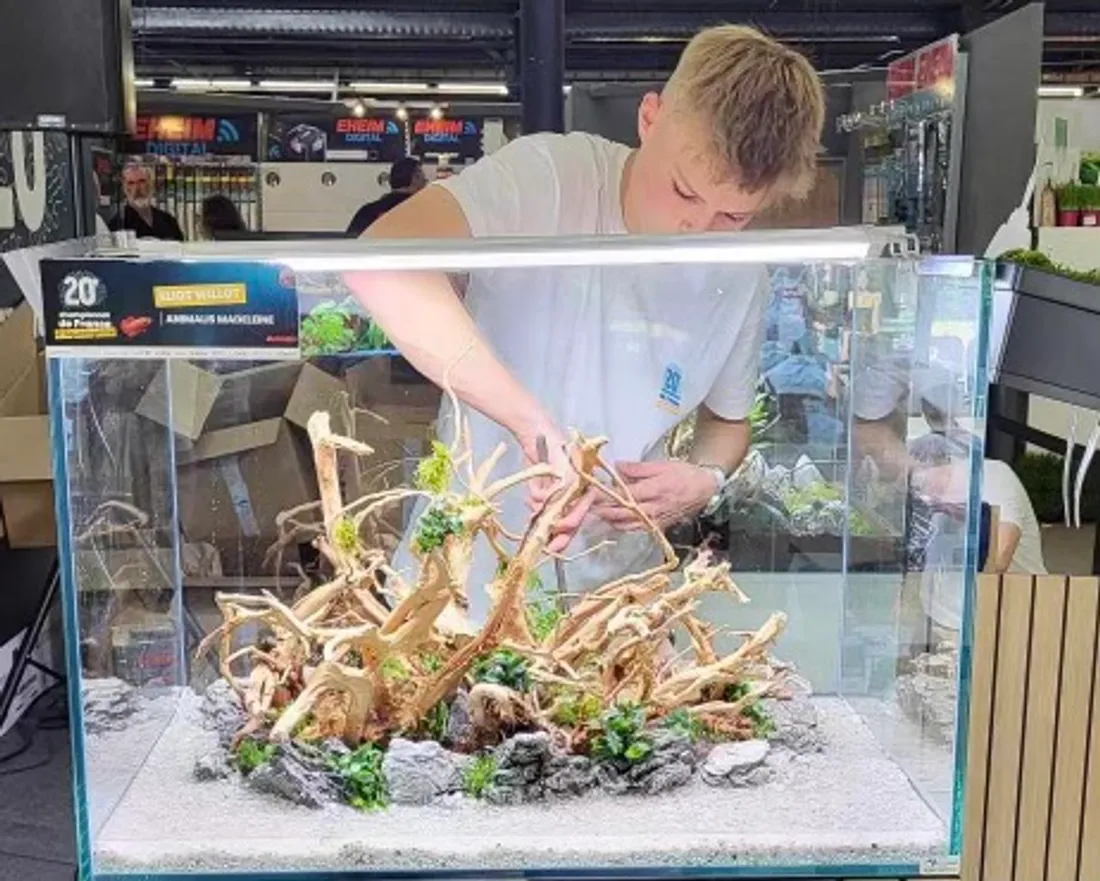 Eliot a remporté la compétition organisée à Paris le 30 septembre dernier.