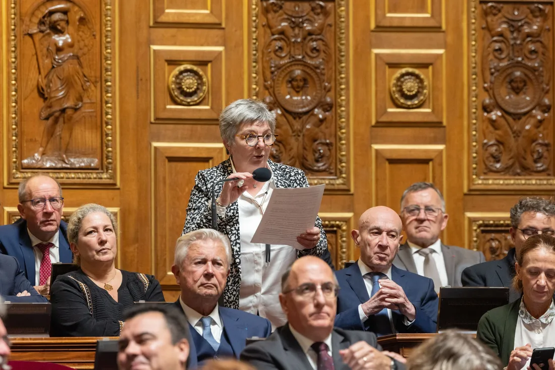 Marie-Claude Lermytte s'est exprimée au Sénat sur la question des wateringues