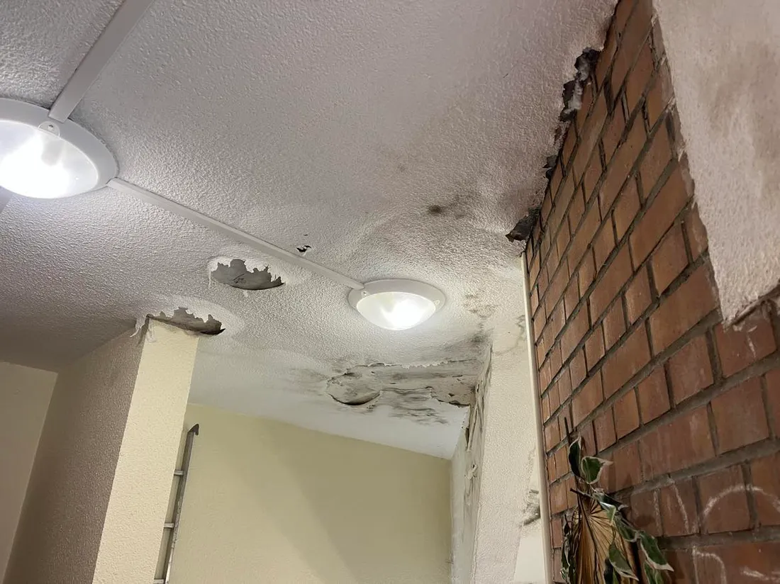 Résidence Cambrinus