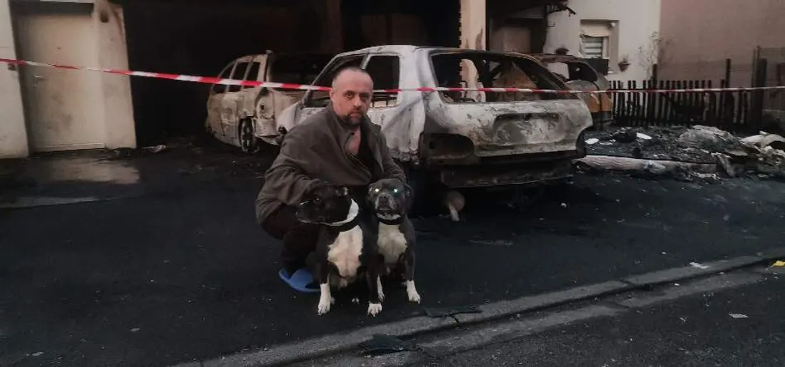 Les deux chiens ont sauvé des dizaines de personnes en aboyant.