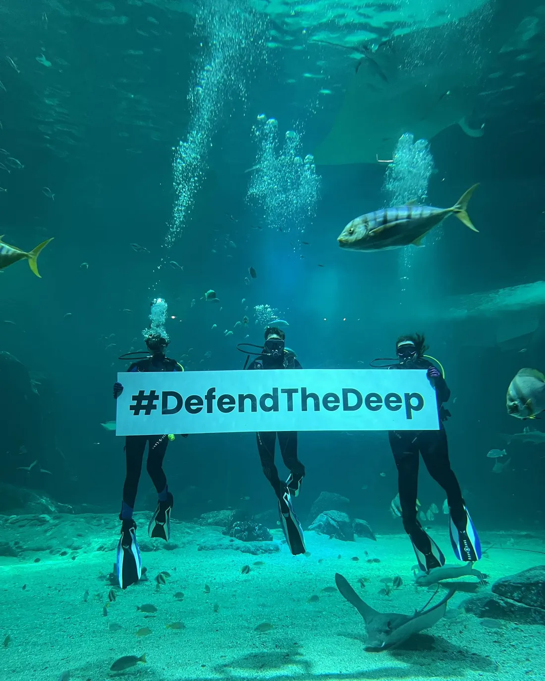 Defendthedeep