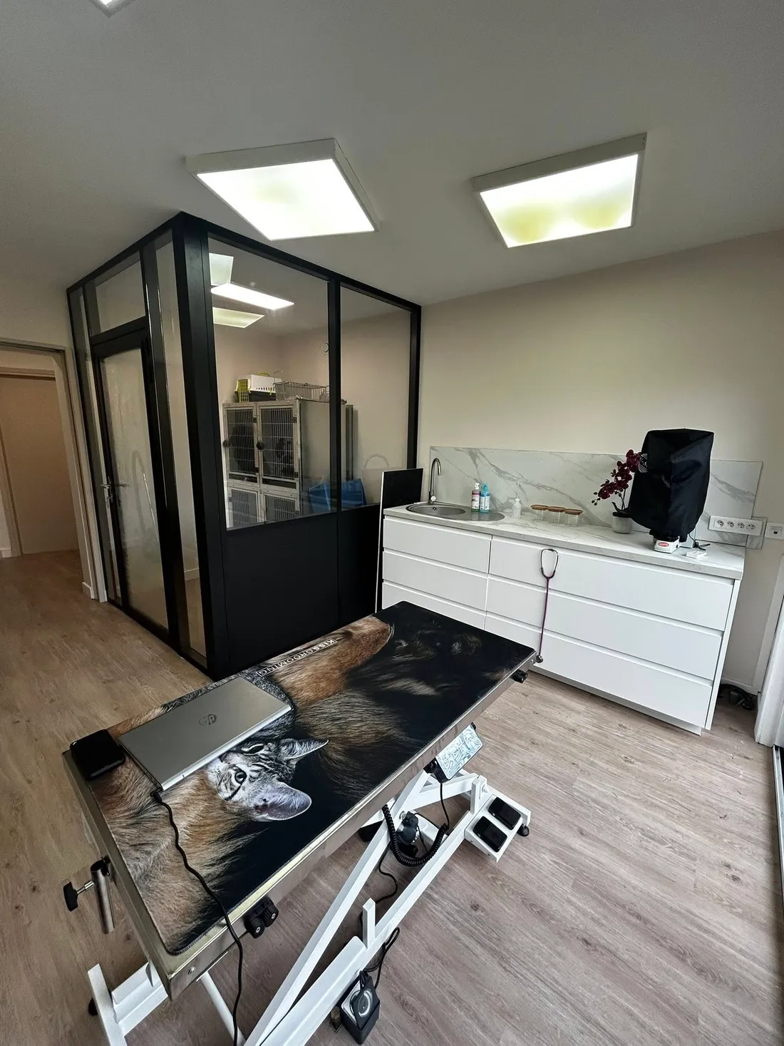 Cabinet vétérinaire