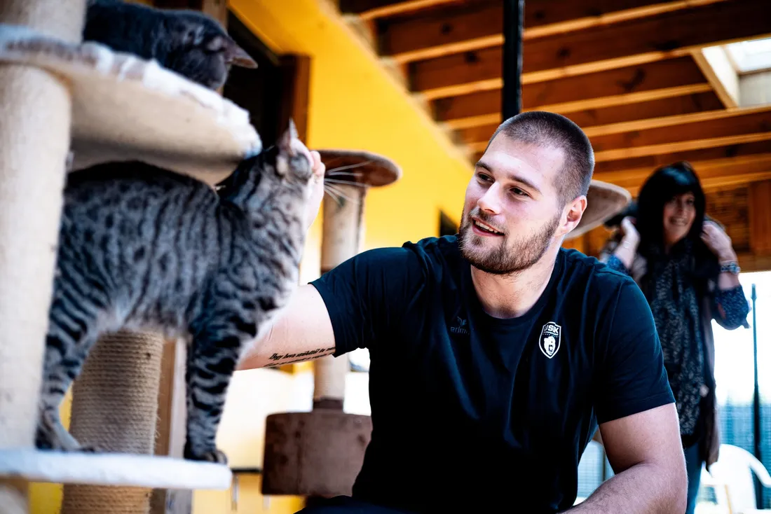 USDK - Dunkerque Handball Grand Littoral