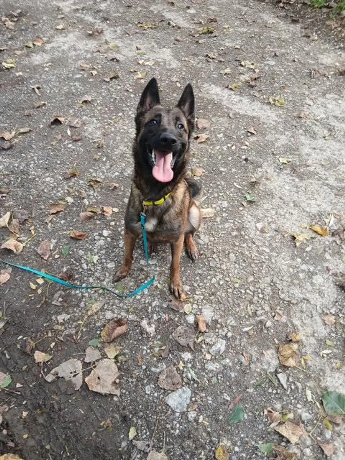 Gendarmes de Flandre intérieure