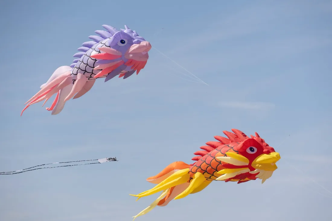 Festival Cerfs-Volants Grand Fort Philippe 2026