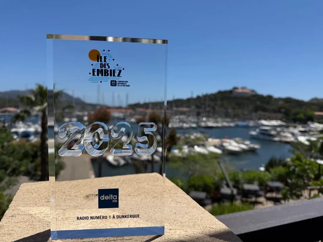 Audiences Delta FM indes radios