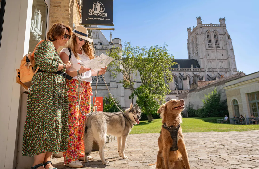 Le label est décerné dans 56 offices en France.