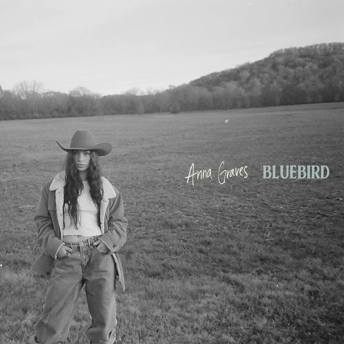 Anna Graves - Bluebird