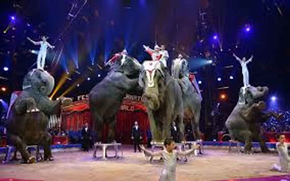 Calais Générosité