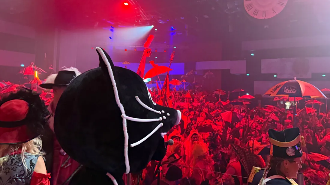 bal chat noir dunkerque