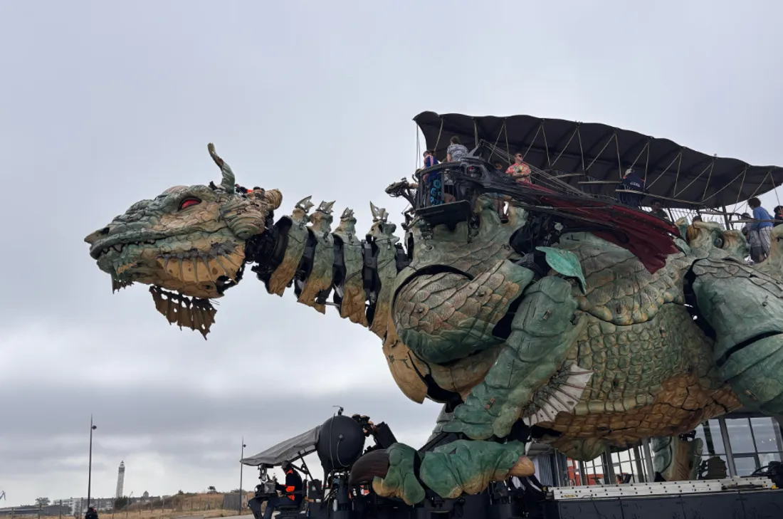 dragon