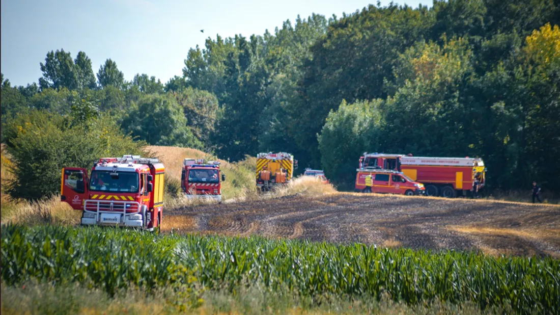 Un incendie a déjà ravagé deux hectares à Neuchâtel-Hardelot.