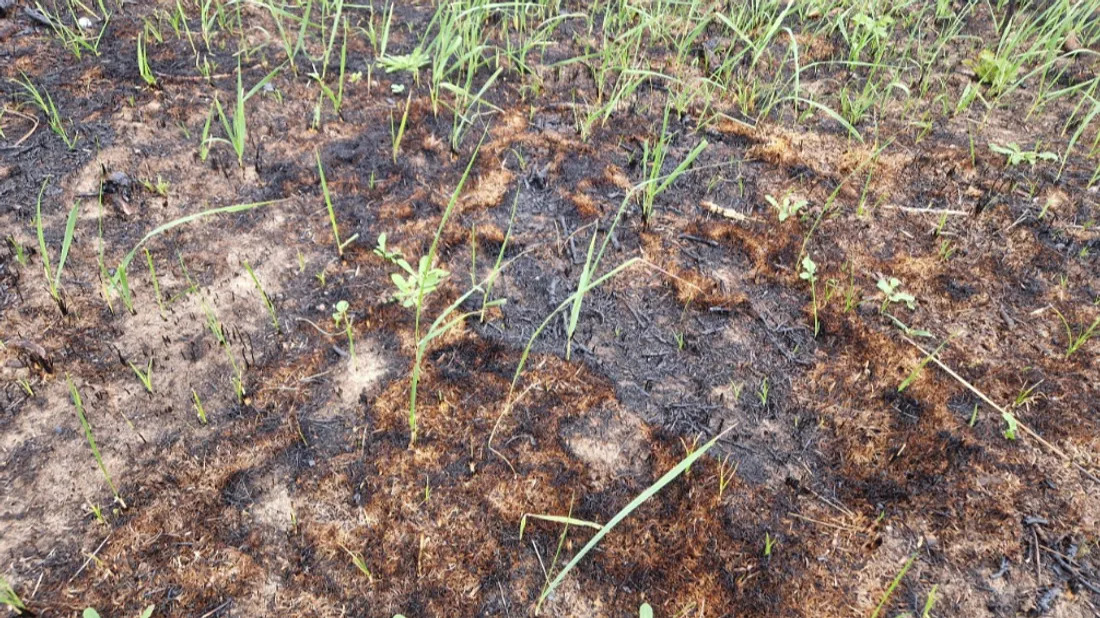Le premier bilan d'Eden 62 après les incendies.