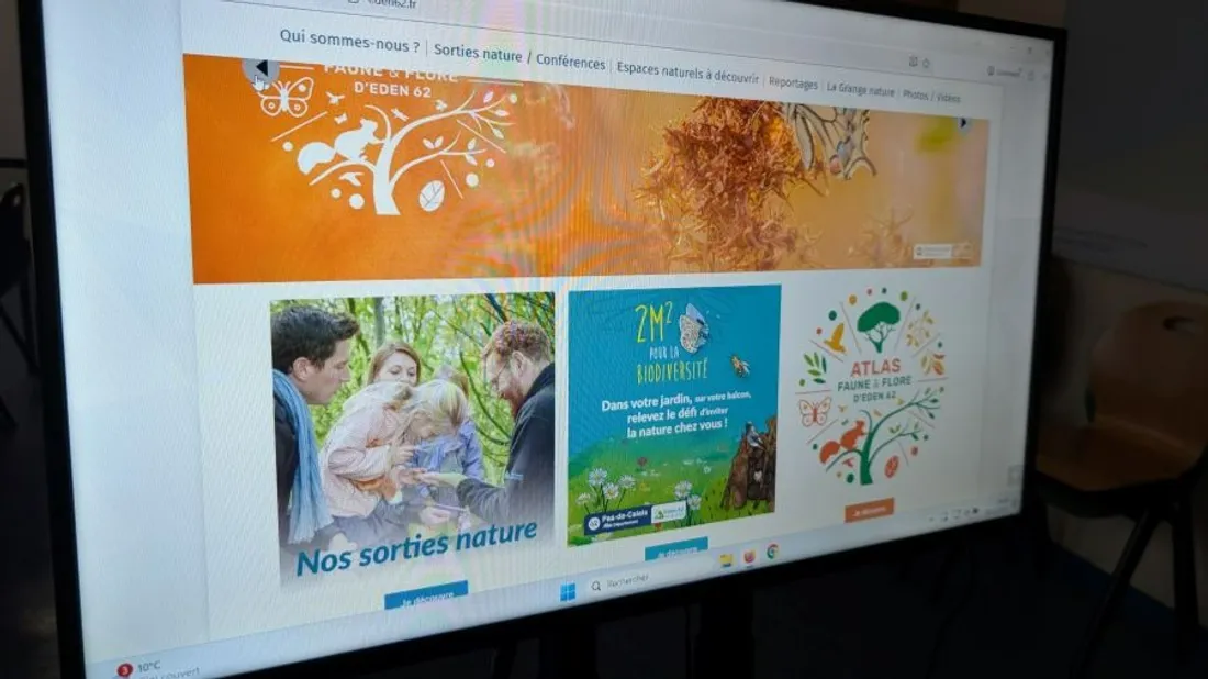 L'outil numérique est disponible depuis quelques jours. 