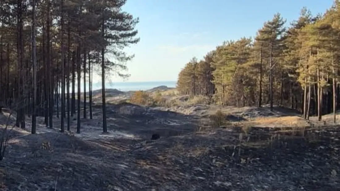 incendie neufchâtel-hardelot