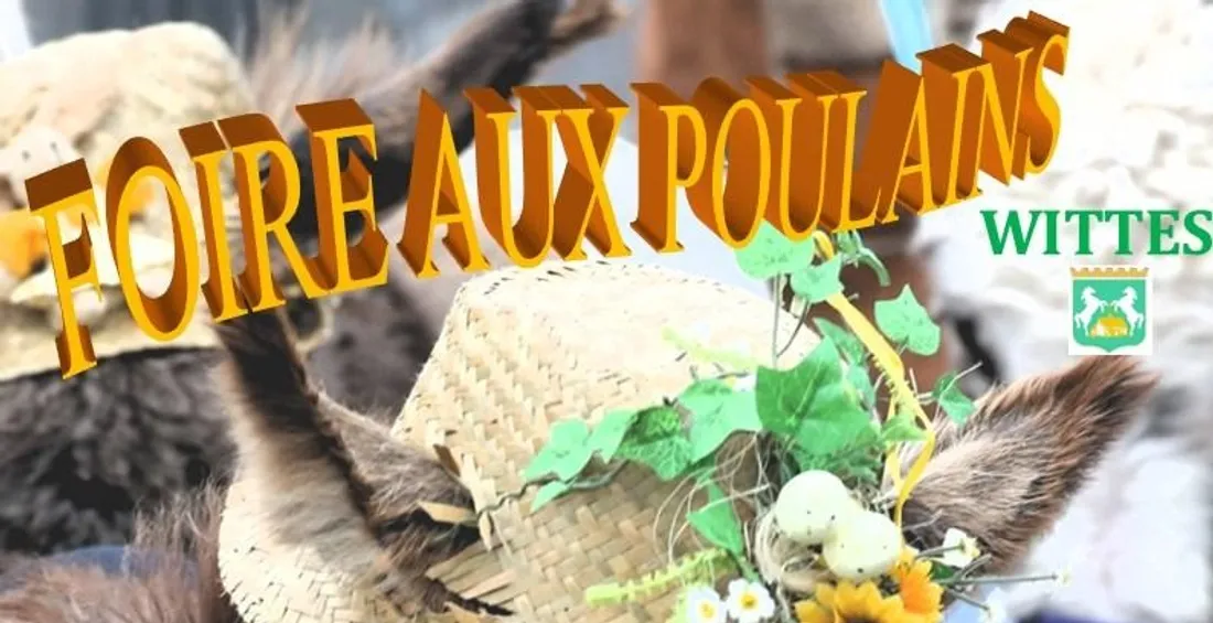 Foire aux Poulains 2024