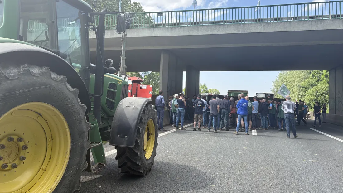 À Steenvoorde, les agriculteurs se sont réunis sous le pont de l'autoroute A25.