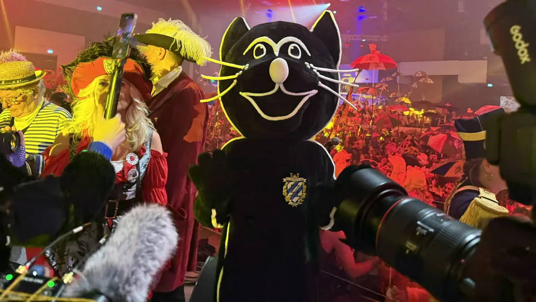 bal du chat noir dunkerque