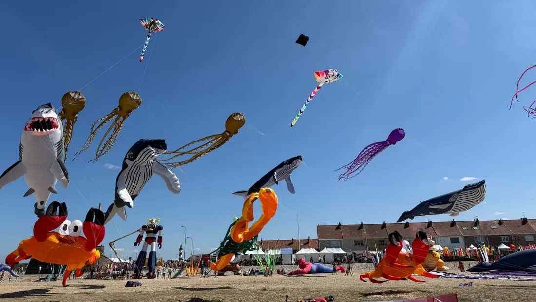 Festival du cerf-volant à Grand-Fort-Philippe