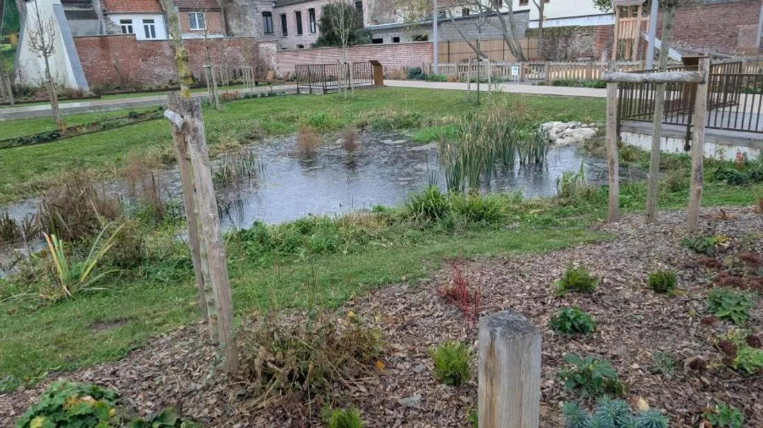 Une mare se trouve au cœur du site.  