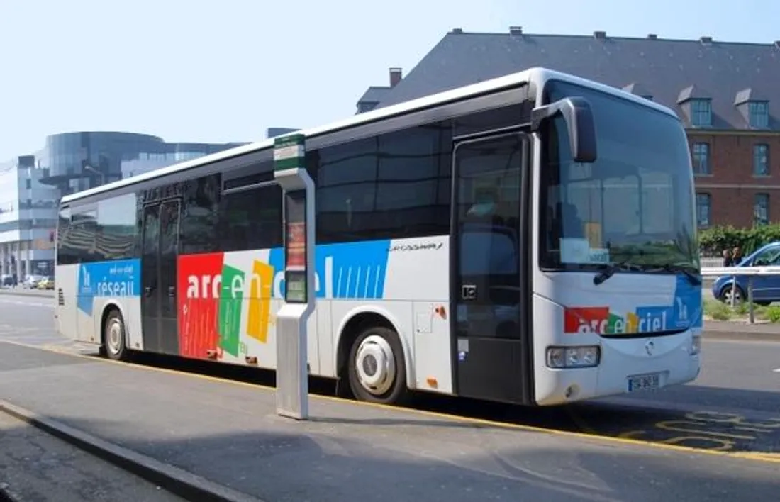Bus