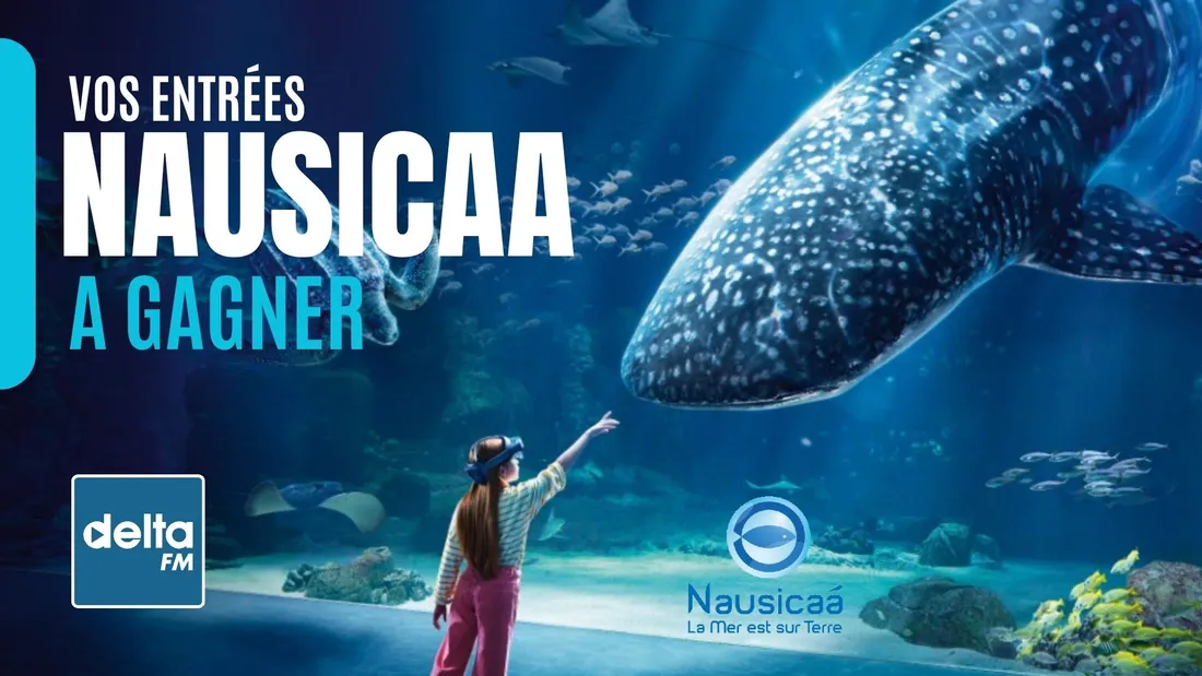 Nausicaa