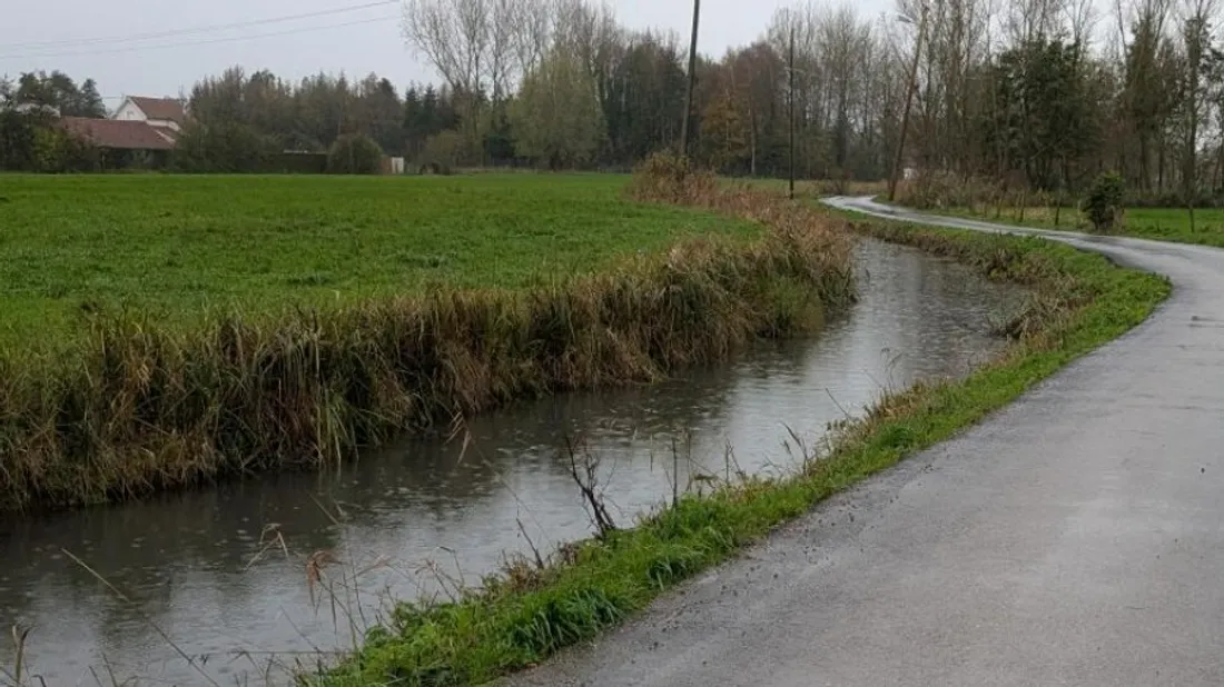 La plupart des cours d'eau sont pollués. 