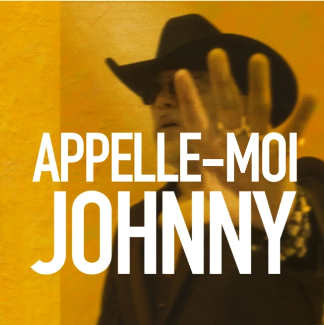 Pascal Obispo - Appelle moi Johnny