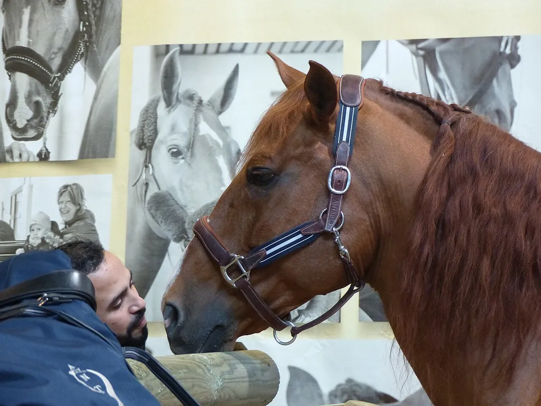 Peyo lors de l'évènement Equita Lyon en 2019