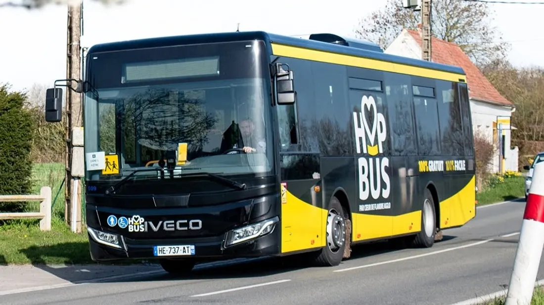 Hop Bus, illustration