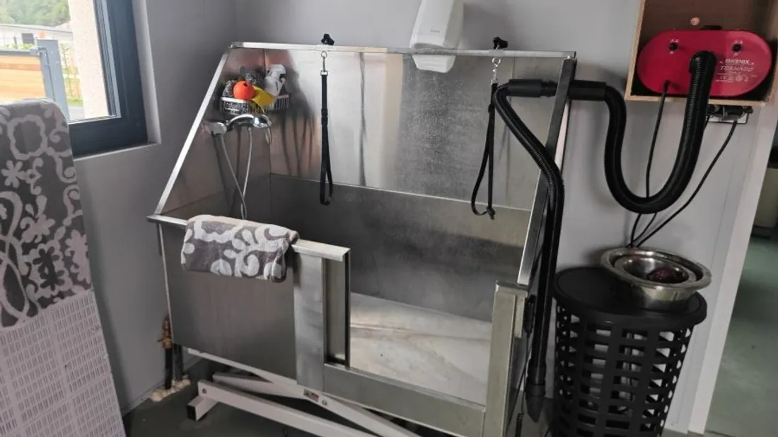 Le salon de toilettage. 