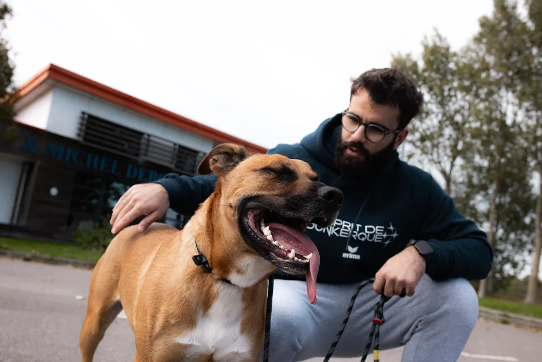 USDK - Dunkerque Handball Grand Littoral