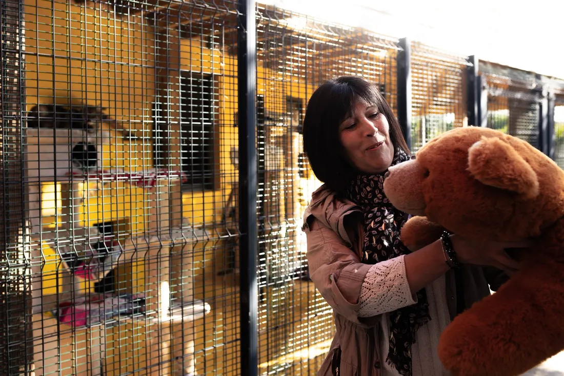 USDK - Dunkerque Handball Grand Littoral