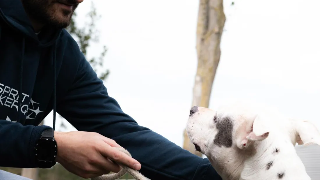 USDK - Dunkerque Handball Grand Littoral
