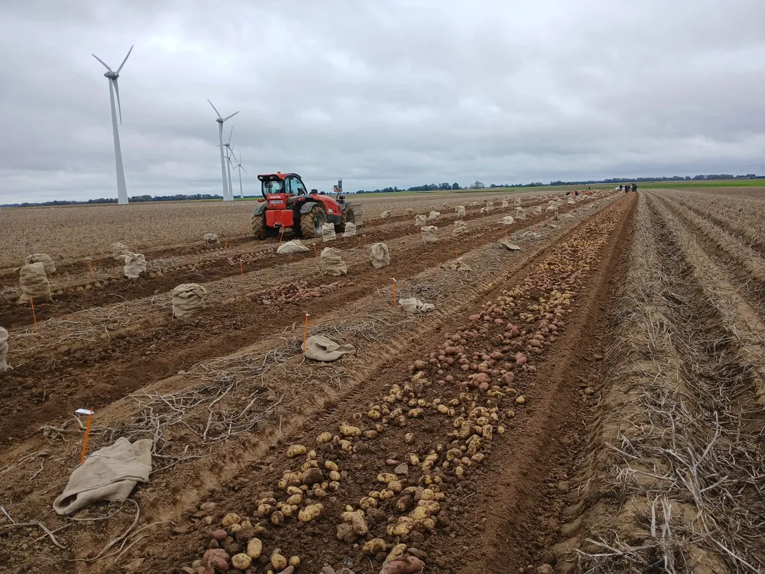 Chambre d'Agriculture Nord-Pas-de-Calais