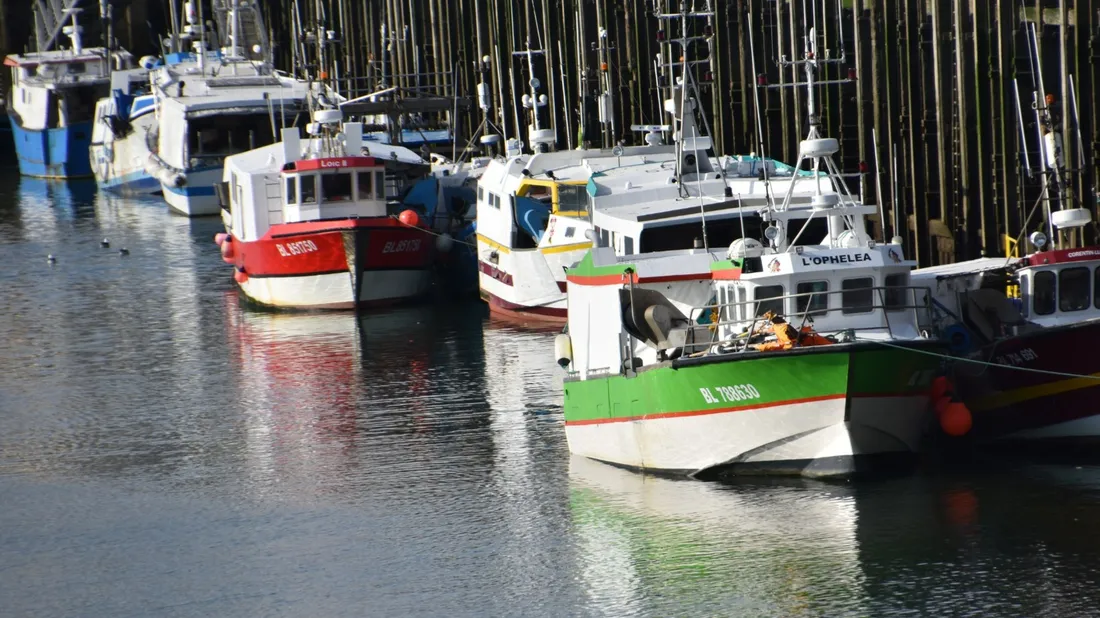 Comité régional des pêches, illustration