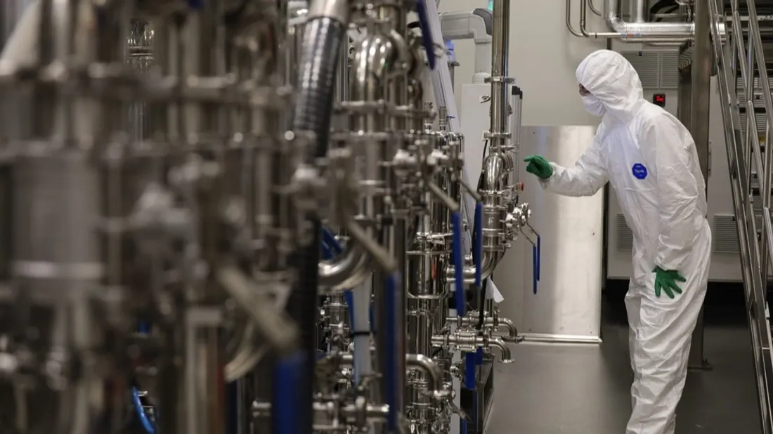 Verkor, illustration