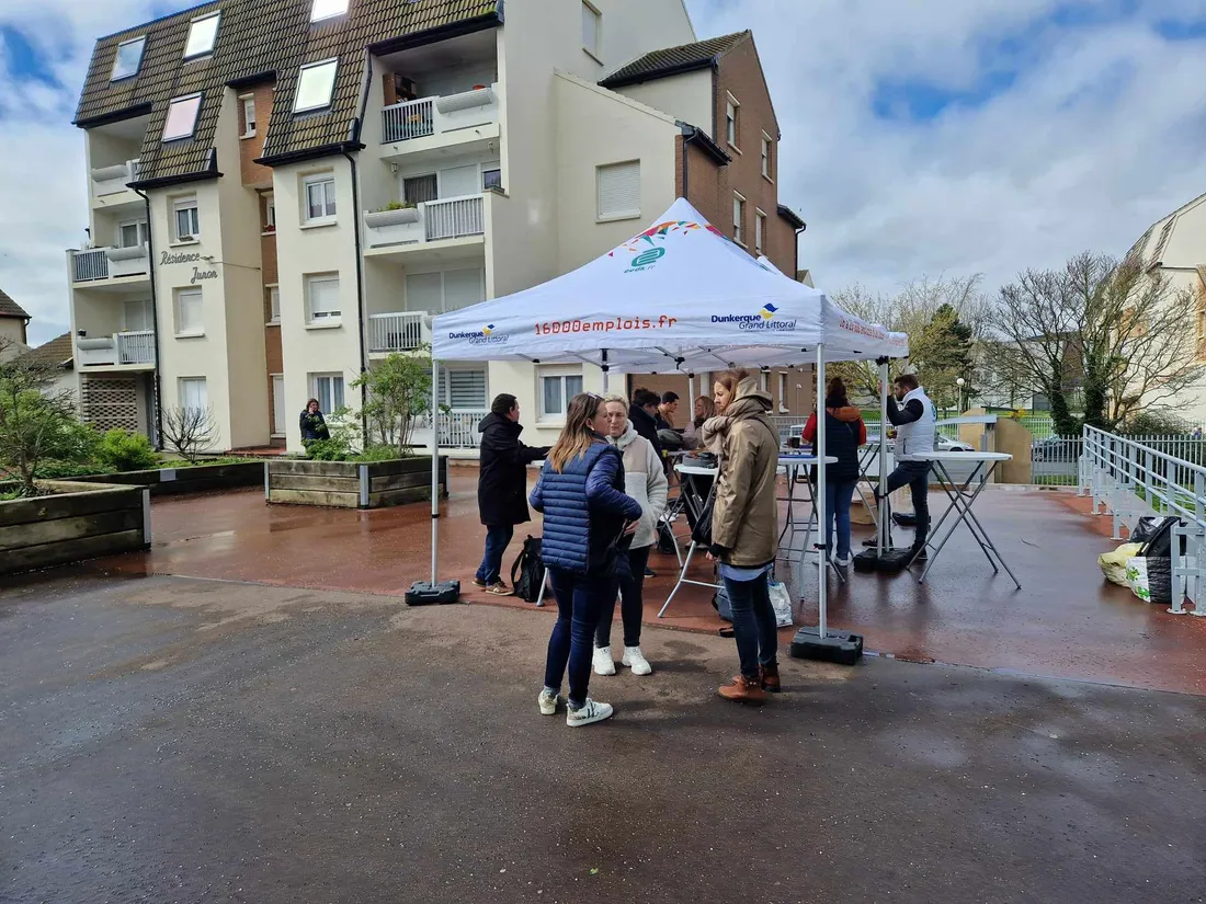 Flandre Opale Habitat