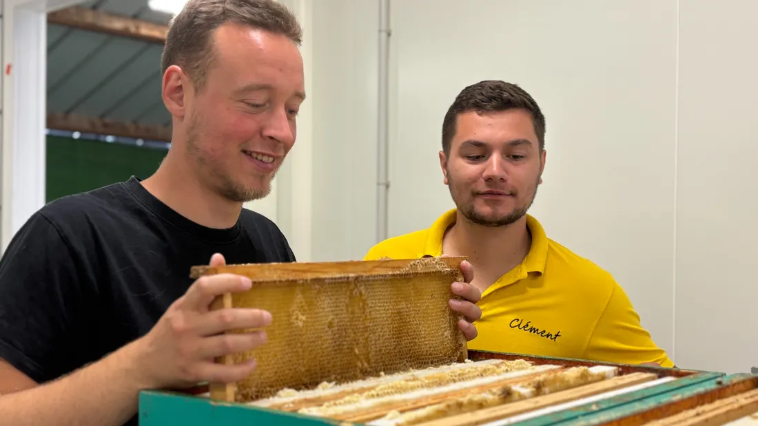 Le miel est extrait de ces cadres, connus sous le nom de hausses.