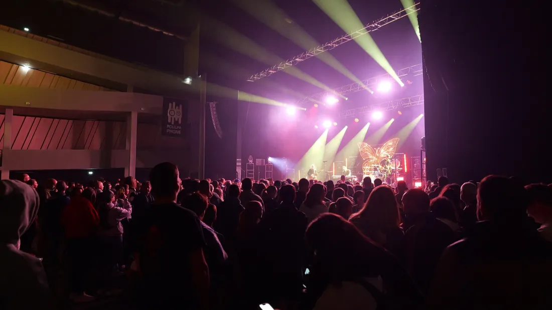 Poulpaphone, archives