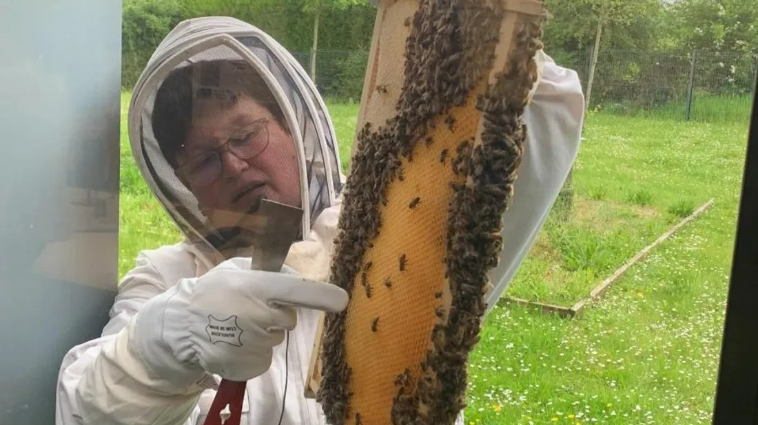 Une apicultrice présentera un rucher le 24 mai. 