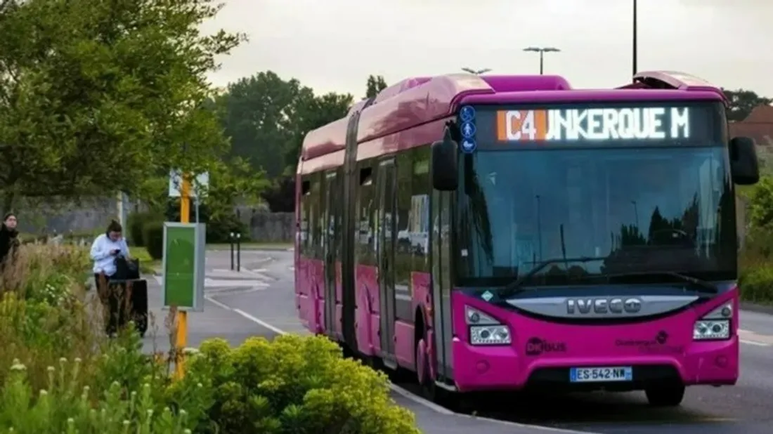 Dk'Bus, illustration