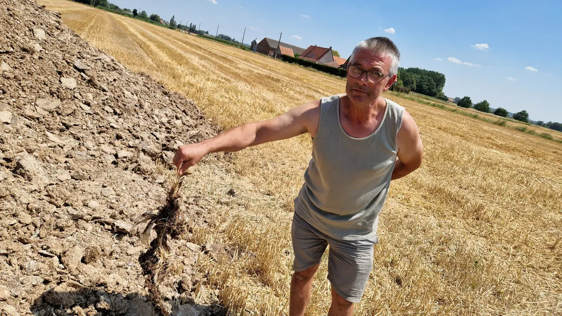 Des fientes de poulets ont été découverts par Freddy, un habitant du village. 