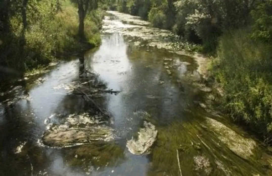 Ministère du Développement durable, Terra/Laurent Mignaux, illustration