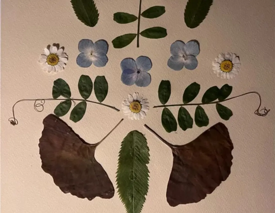 Colonne de la Grande Armée Wimille