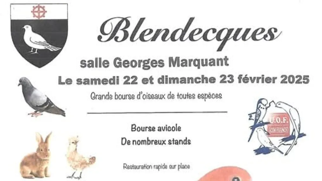 Des poils, des plumes et de la régalade au 43ème Festival "Oiseaux et Nature" à Blendecques.