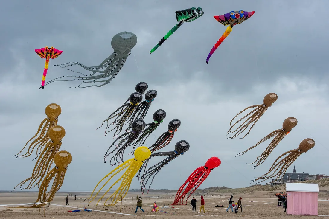 Cerf-volant de cerf-volant de Berck-sur-Mer, archives